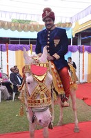Sunil Photo Gallery